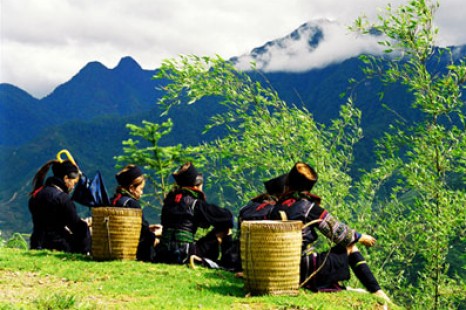 Tour Du Lịch Sapa - Bản Cát Cát - Hàm Rồng 2 Ngày (Đi - Về bằng tàu hỏa)